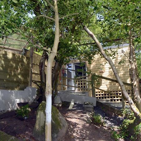 Tawny Lodge Westport Exterior photo