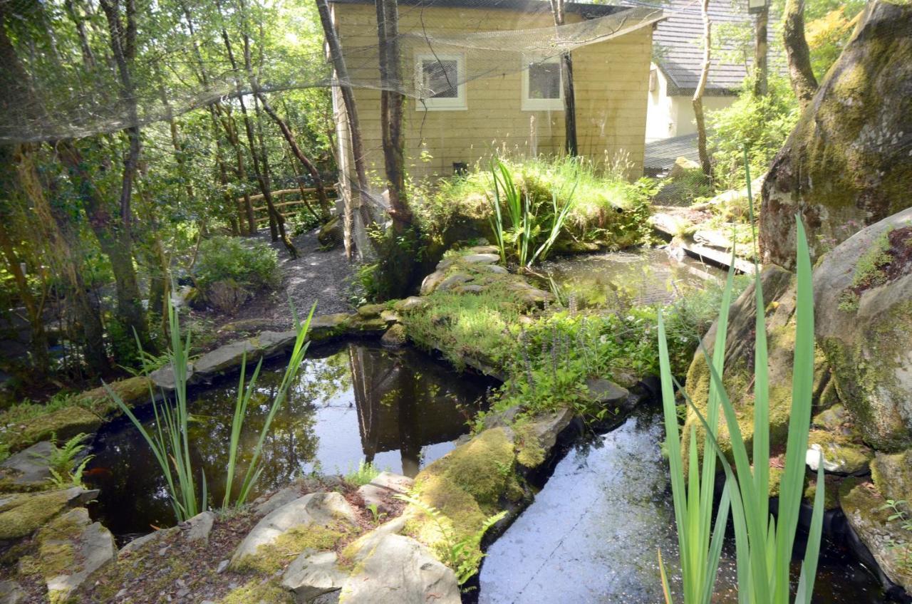 Tawny Lodge Westport Exterior photo